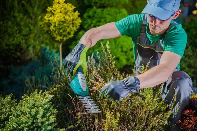 landscaping services Howell